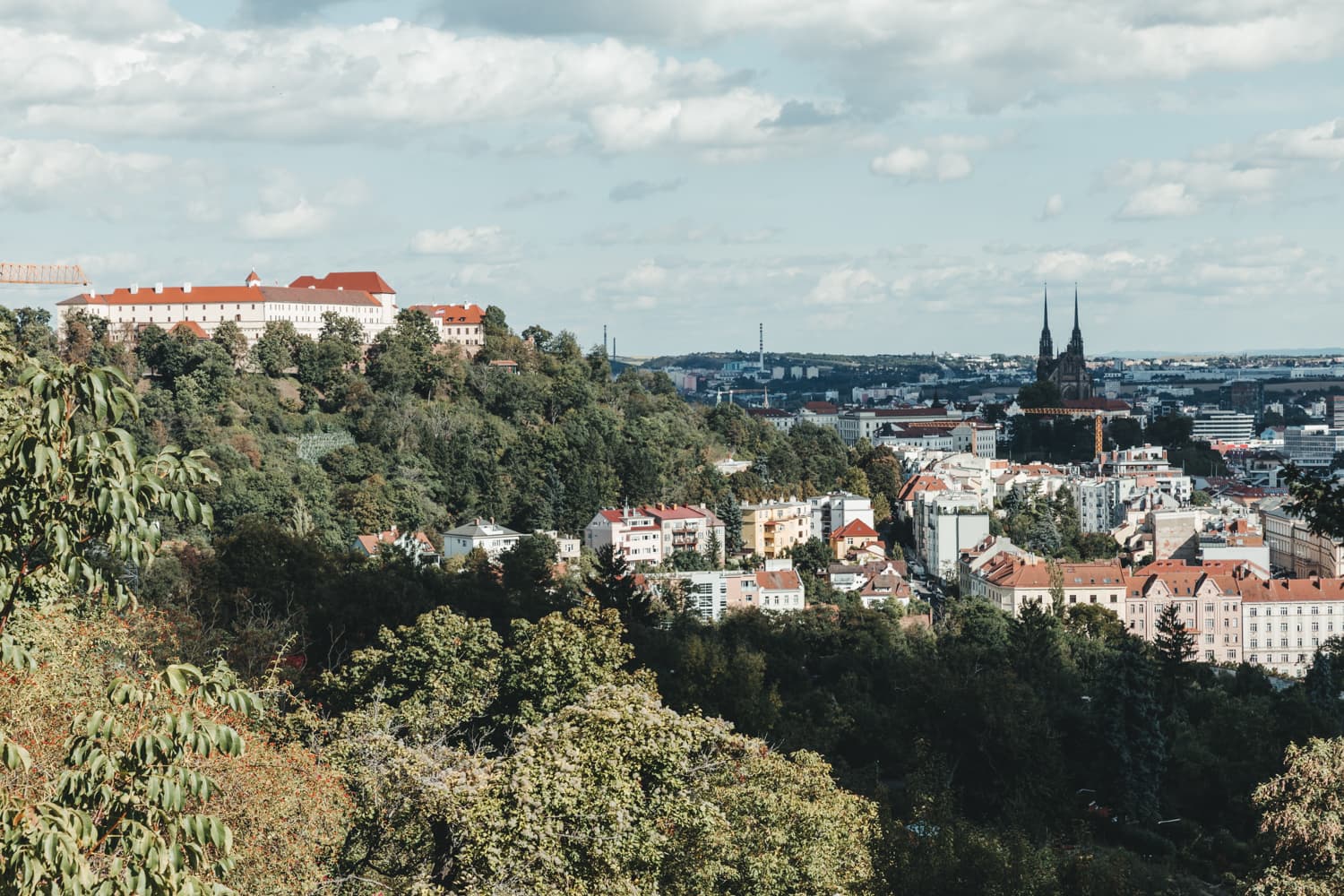 Obrázek