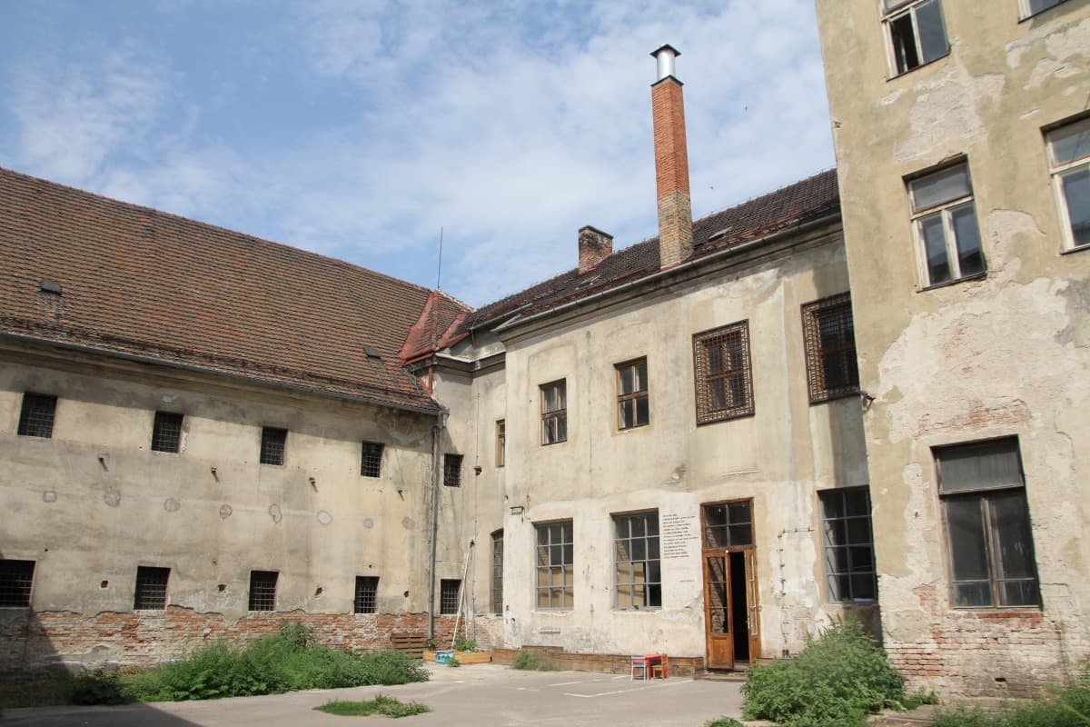 Obrázek