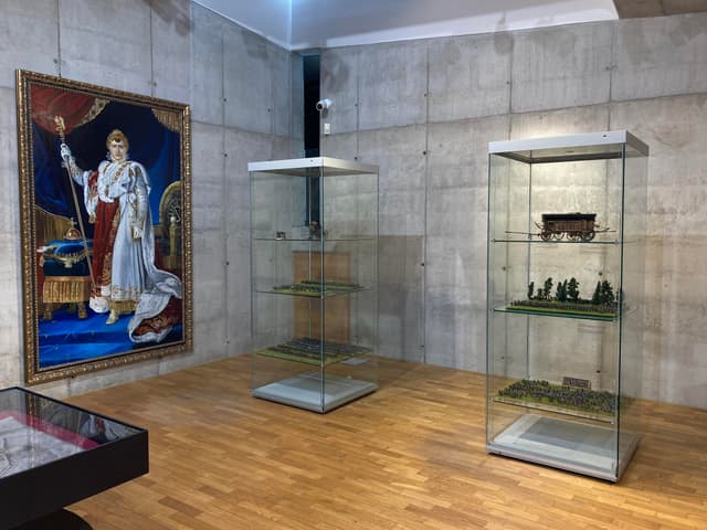 DERNISÁŽ: Ve stínu slavkovského slunce: Proti Napoleonovi 1809