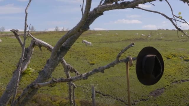 Z Vysočiny do Auvergne