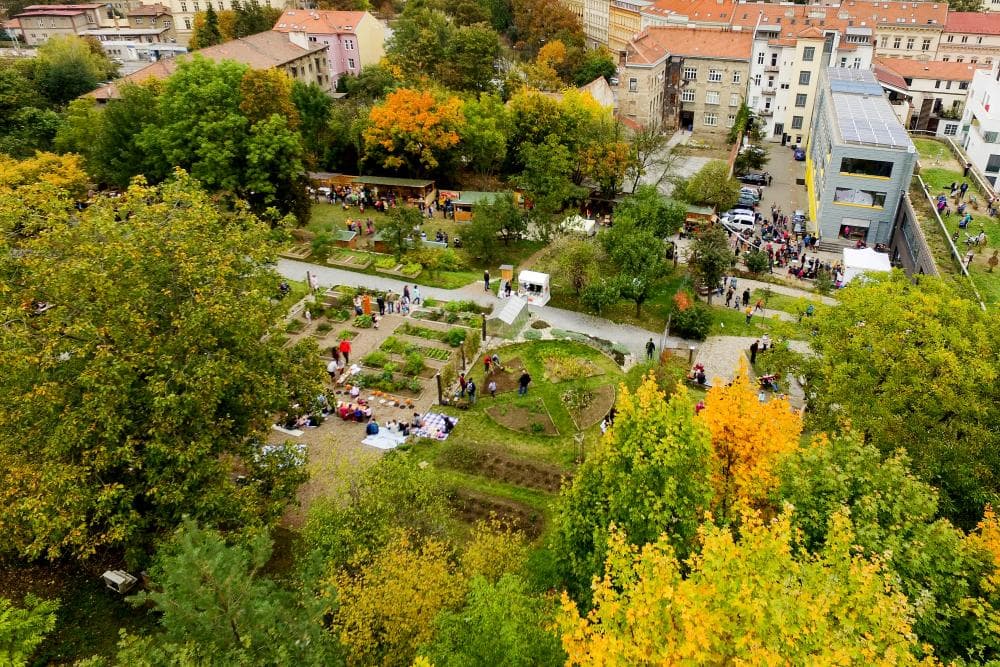 Obrázek