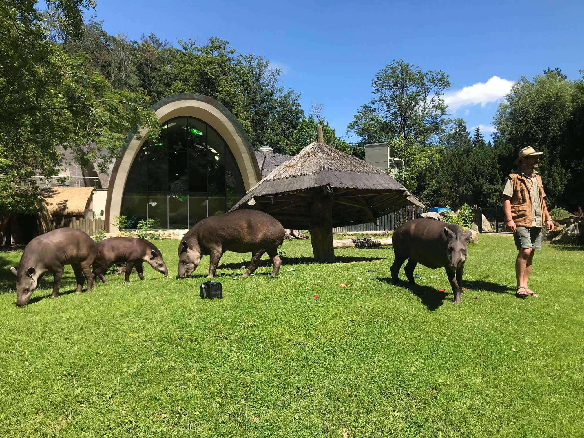 Zoologická zahrada Jihlava