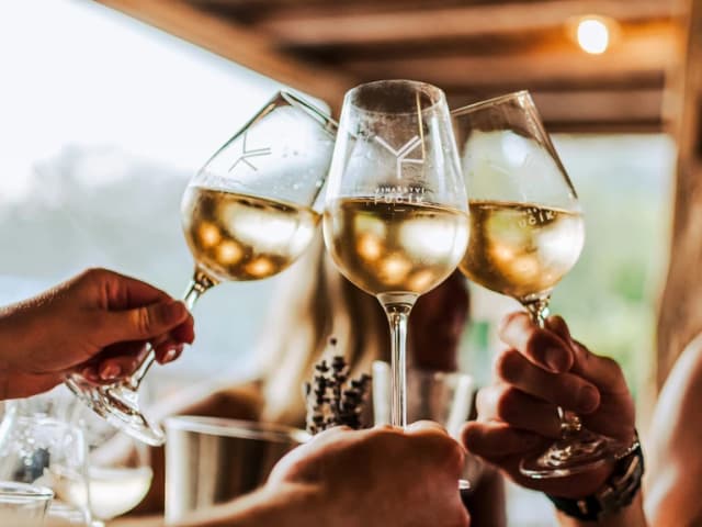 Exkurze a degustace ve Vinařství Fučík