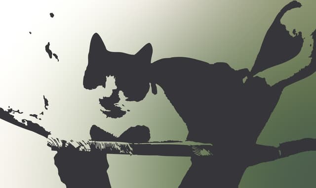 Cats & Paint Club
