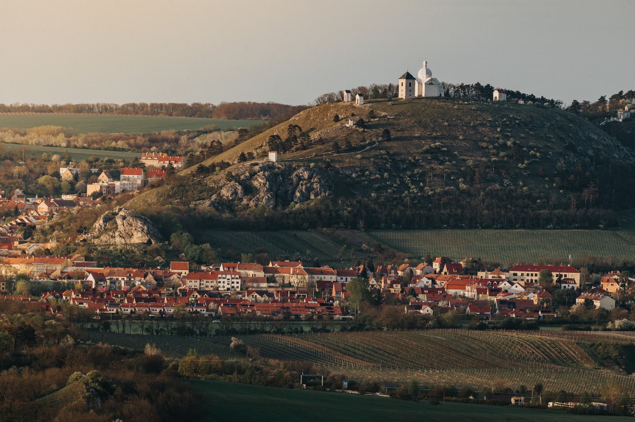 Obrázek