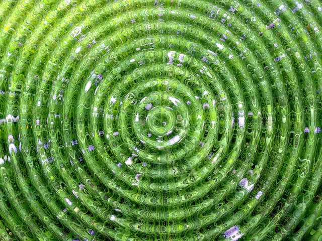 Spin that show