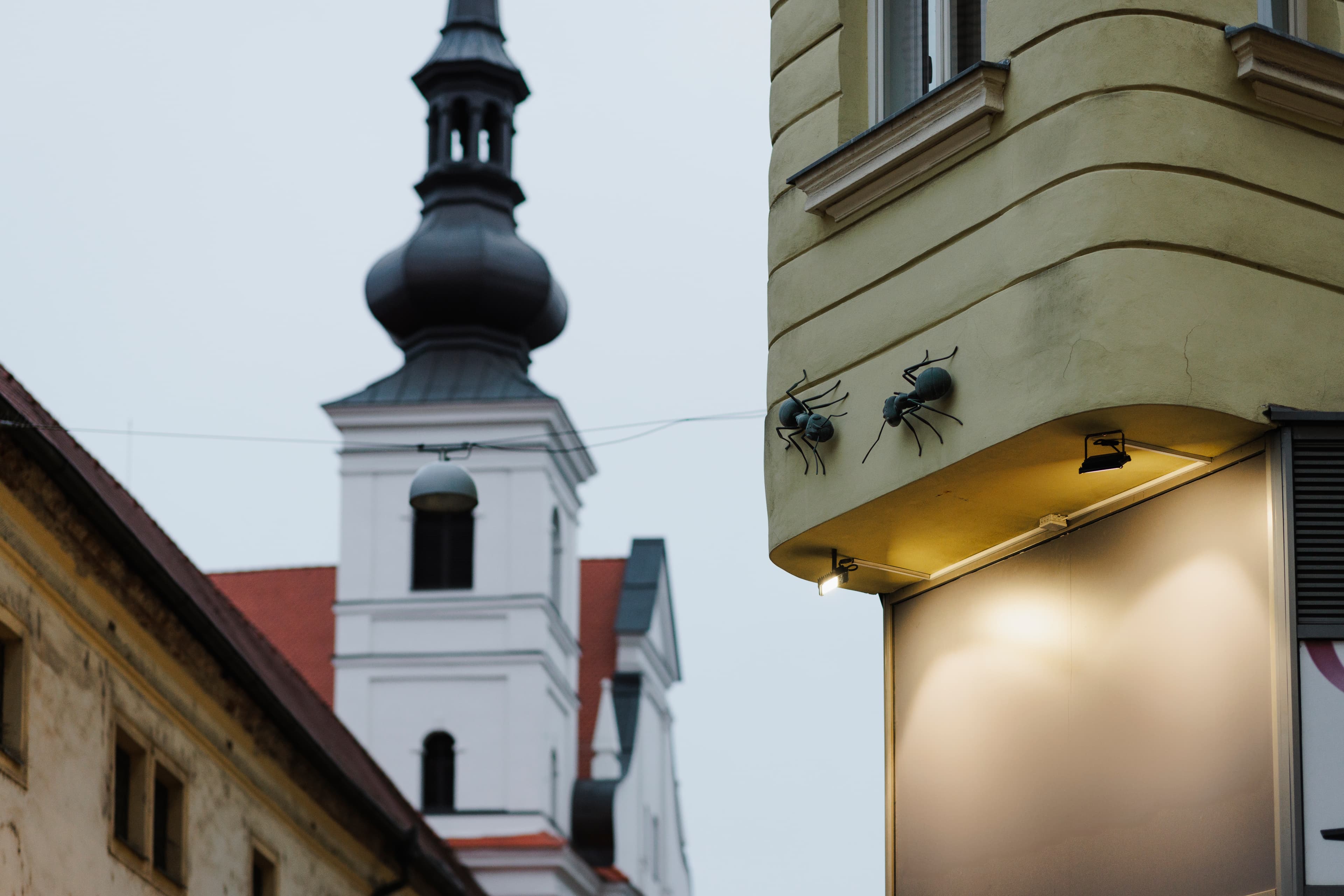 Mravenčení na nároží Orlí a Josefské ulice.