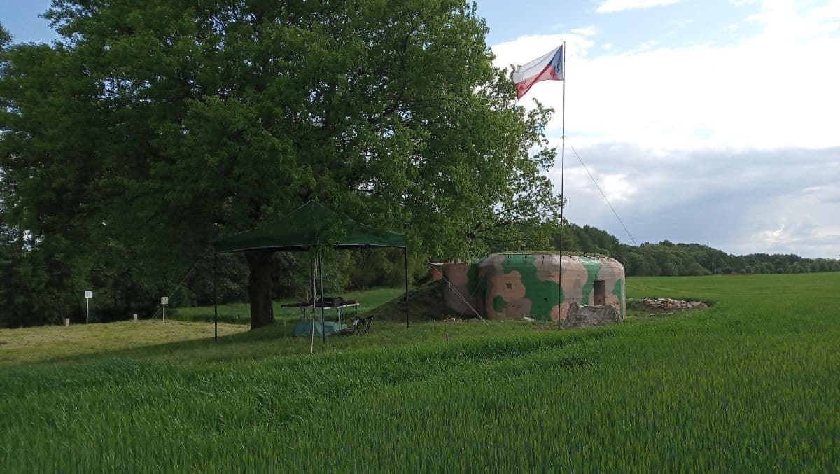 Obrázek