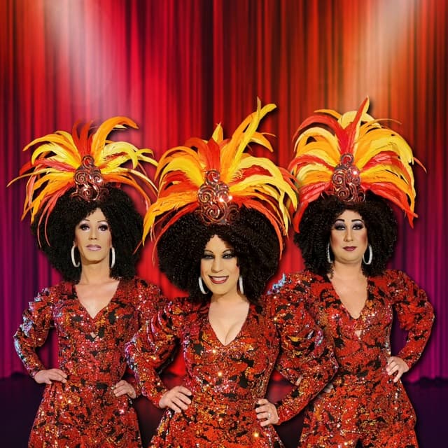 Travesti show: Divoké kočky