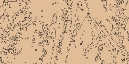 Sympozium Rooted Everywhere