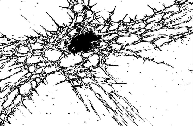 Tales From the Hole