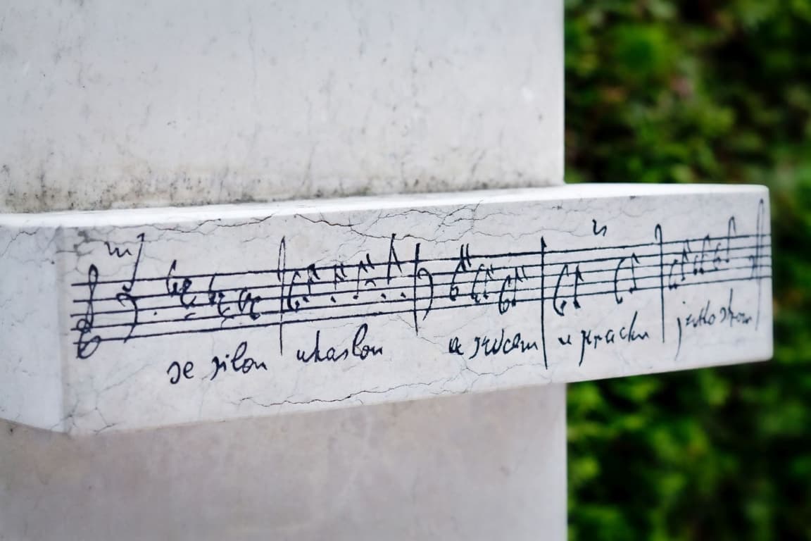 Obrázek