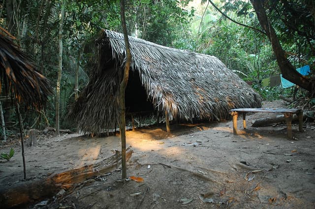 Tisíc tváří Amazonie
