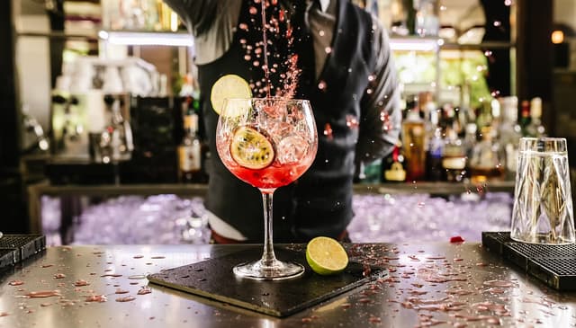 Gin & Tonik Festival