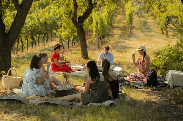 Piknik ve vinicích