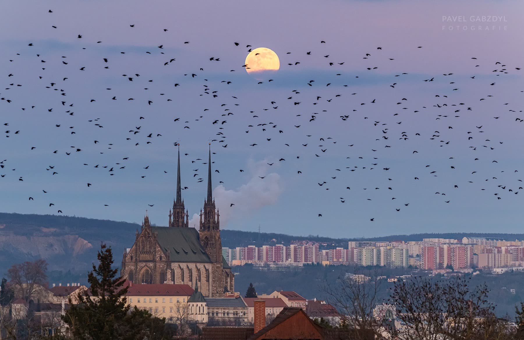 Obrázek