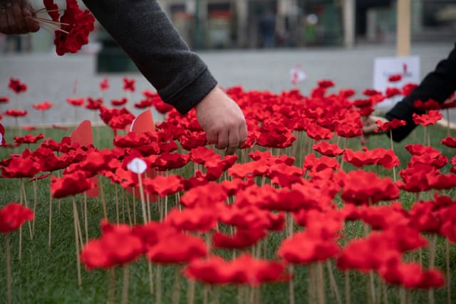 Den válečných veteránů: Pietní sázení máků