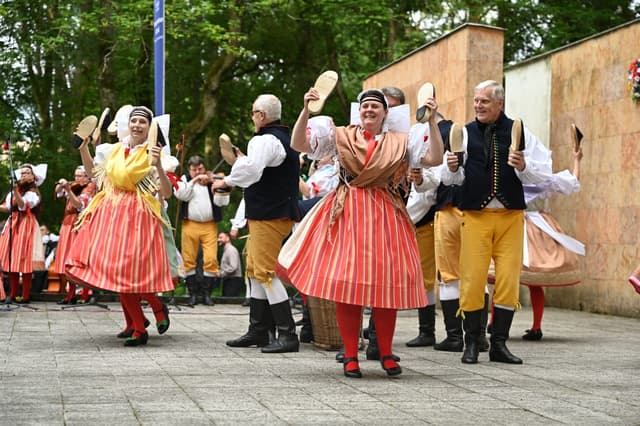 Mezinárodní folklorní festival Plzeň