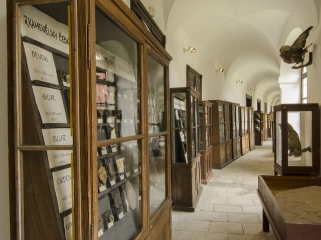 Mineralogický systém a paleontologie