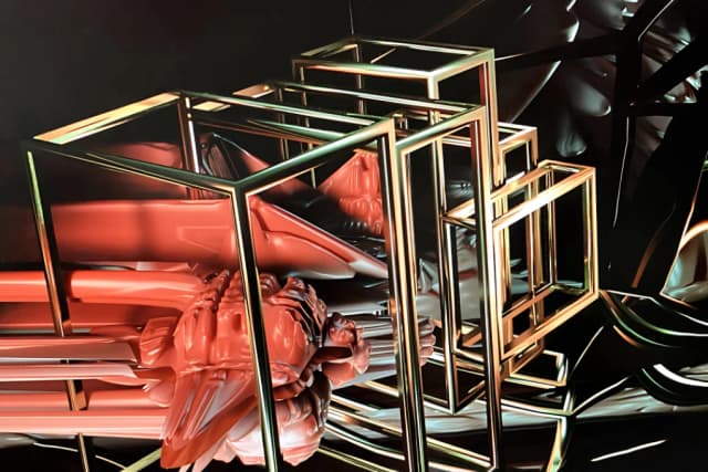 Viscera Domus