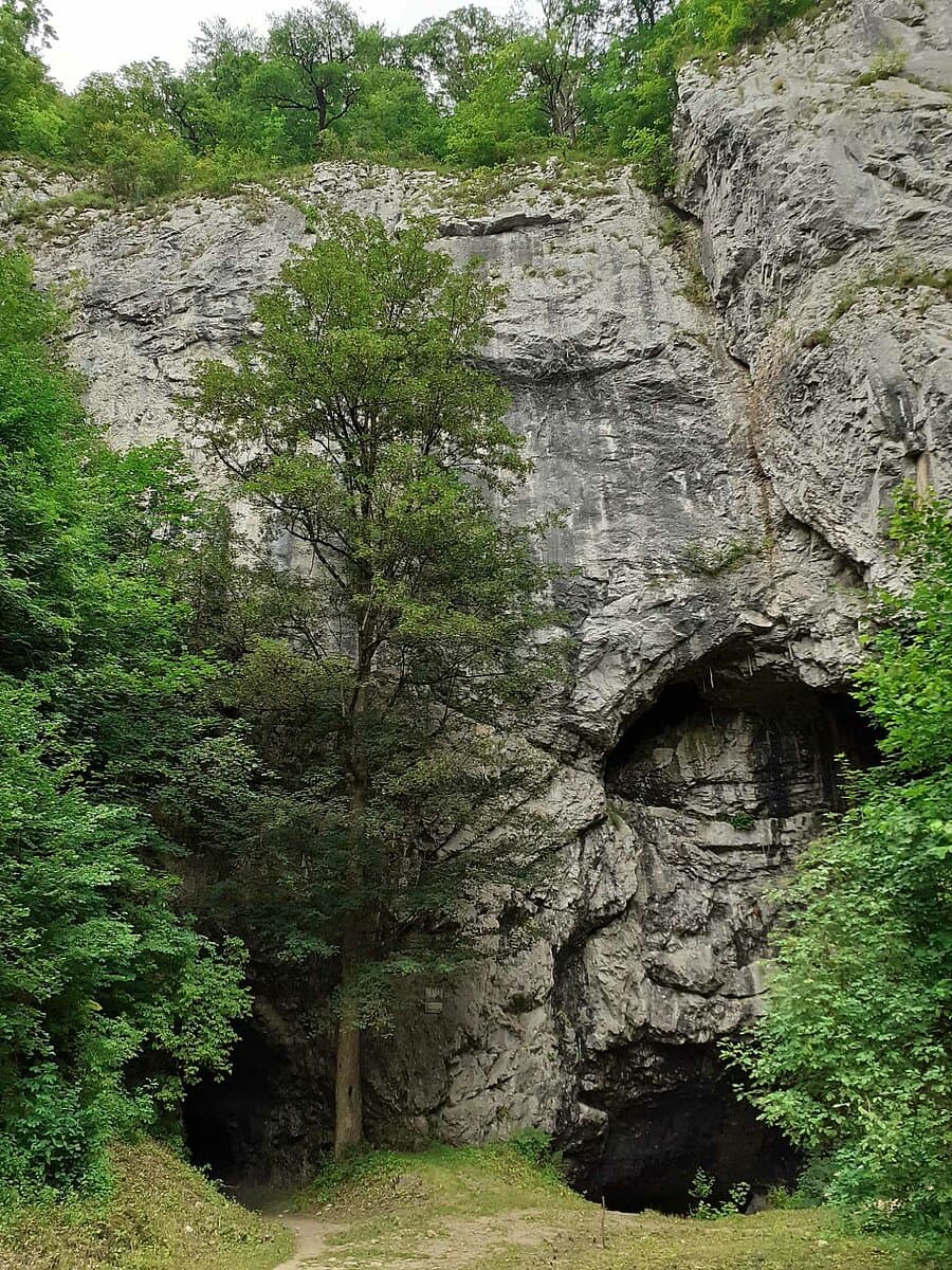 Obrázek