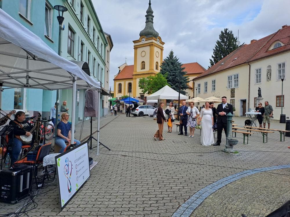 Obrázek