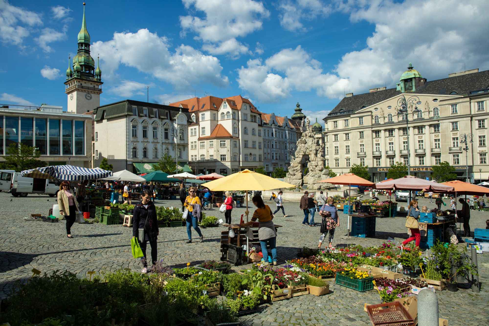 Obrázek