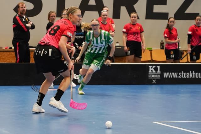 K1 Florbal Židenice vs. FbŠ Bohemians