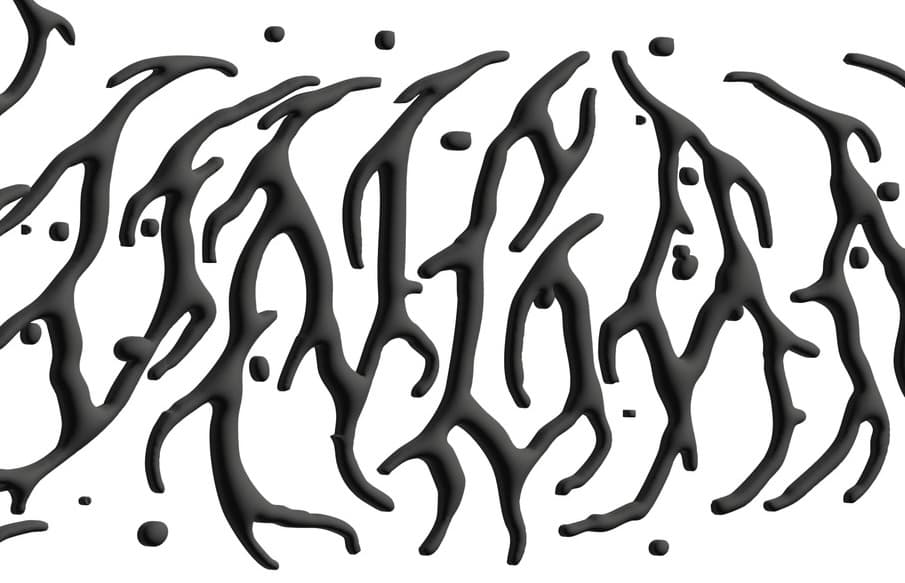 Obrázek