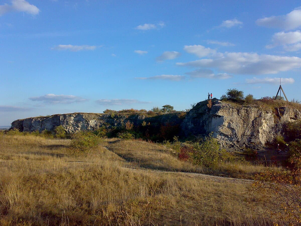 Obrázek
