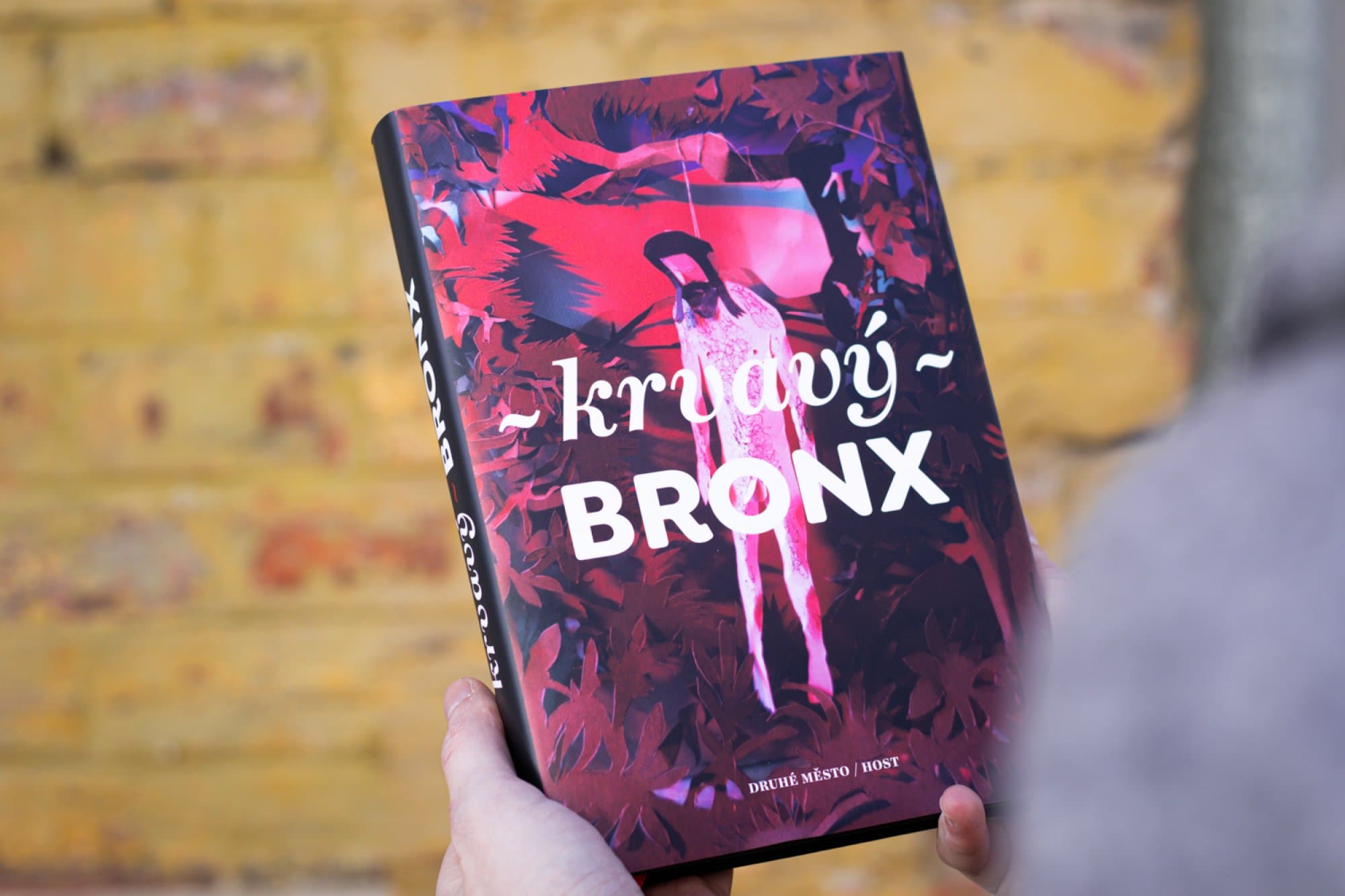 Kniha Krvavý Bronx