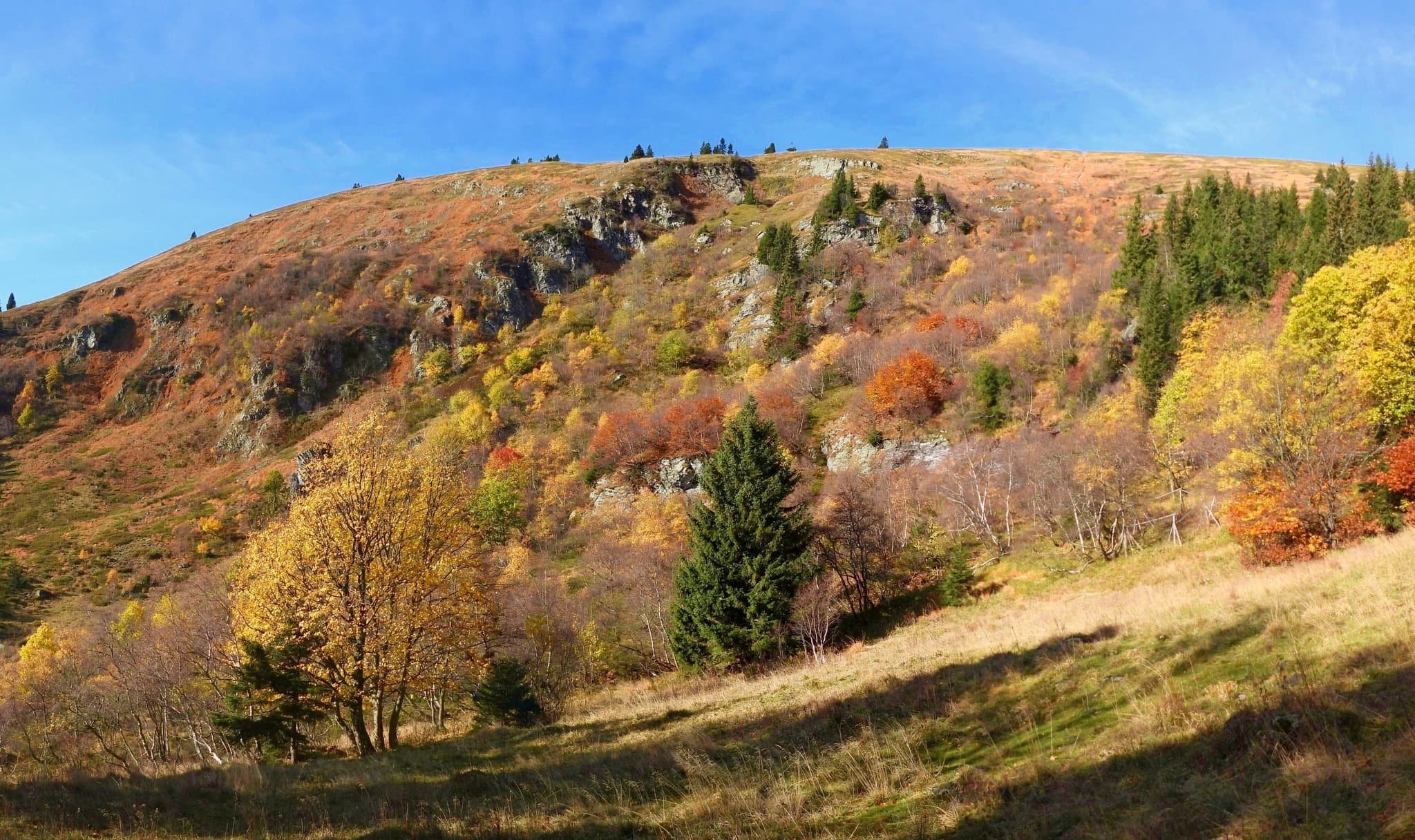 Obrázek