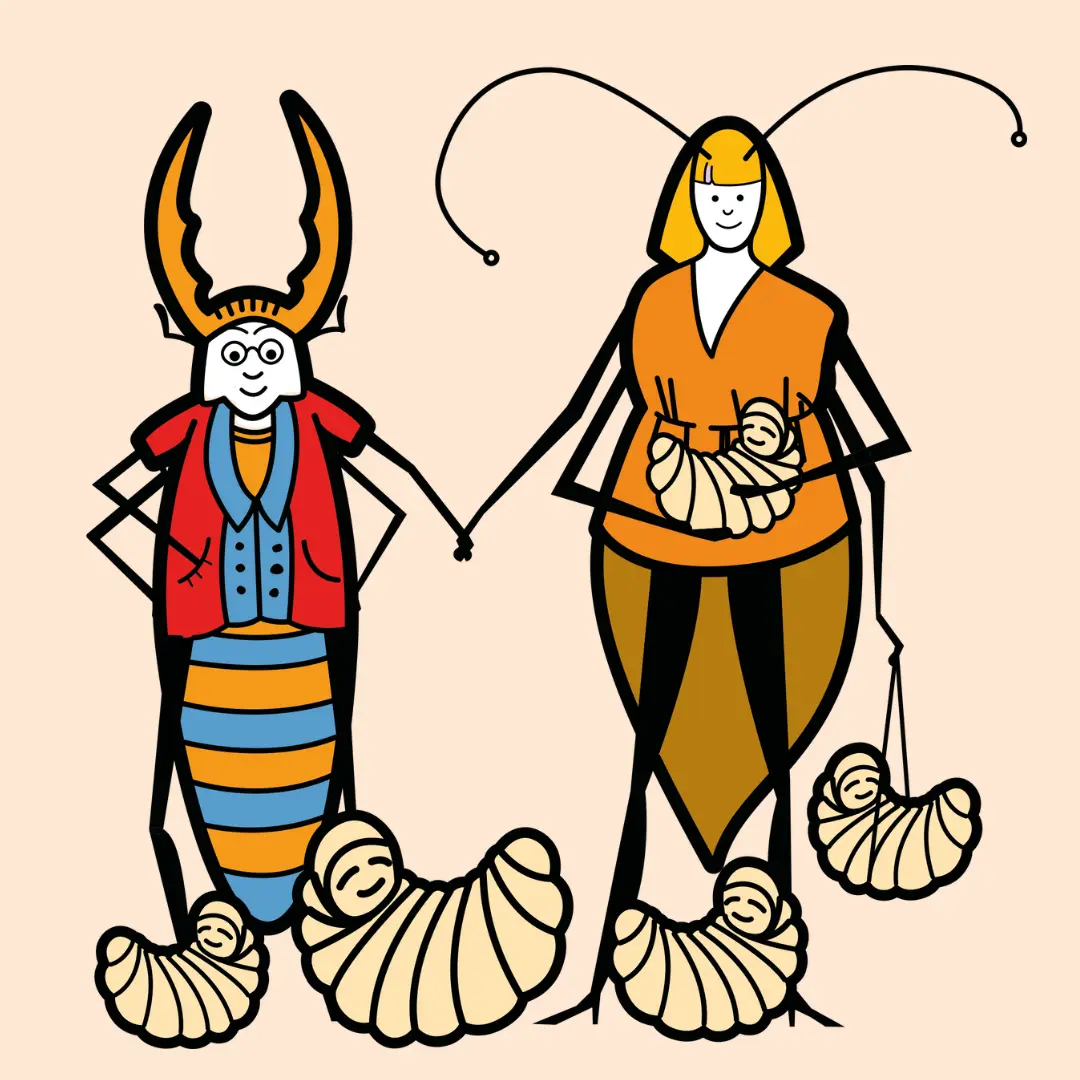 Obrázek