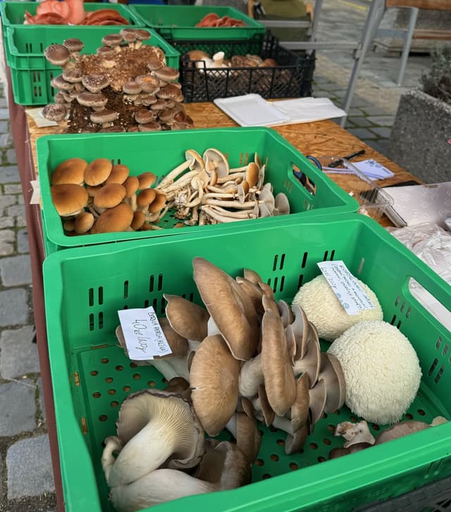 Medlánecké farmářské trhy