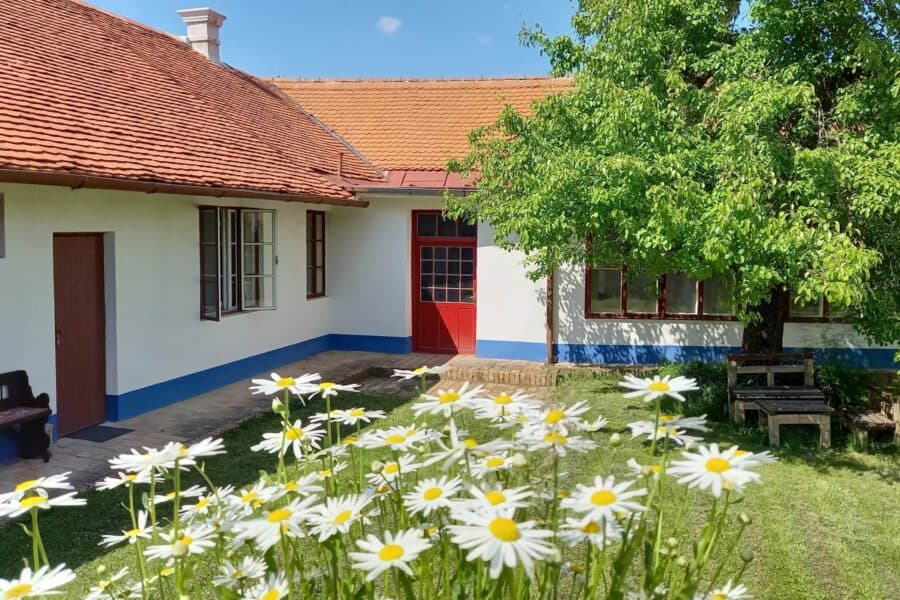 Obrázek
