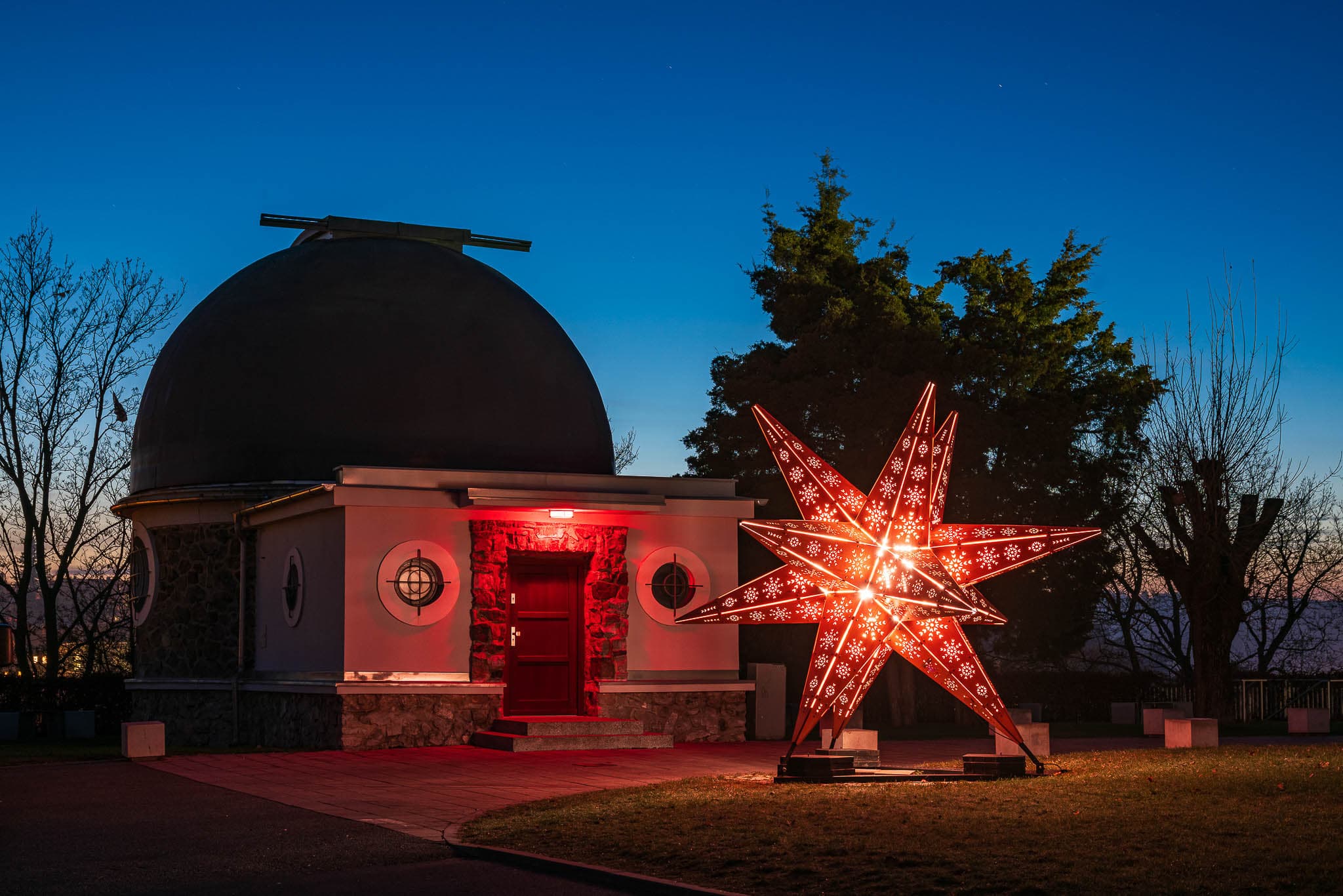Vesmírné Vánoce na Kraví hoře: kočky v beztíži, zářící  hvězda i Pink Floyd  