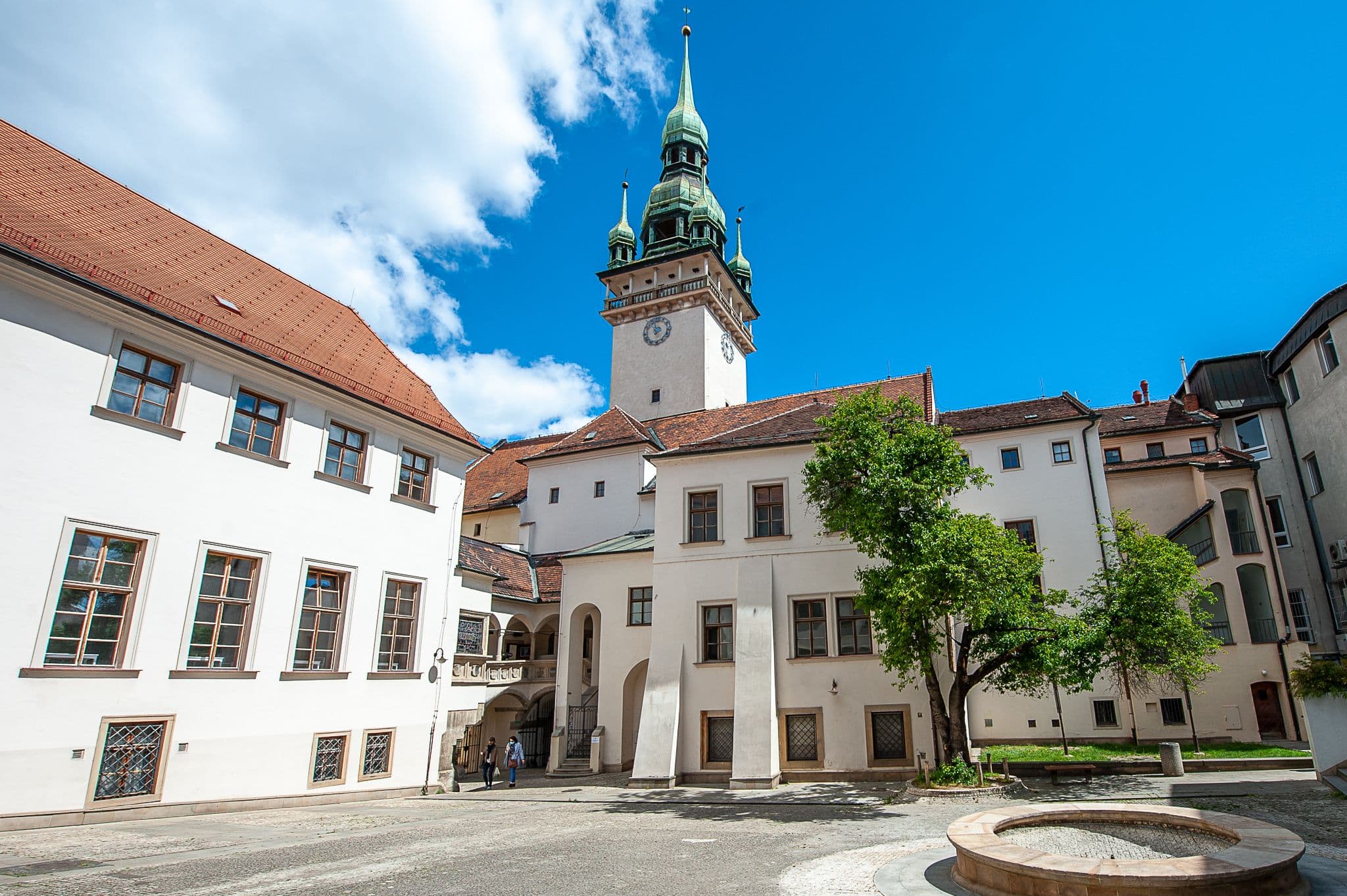 Obrázek