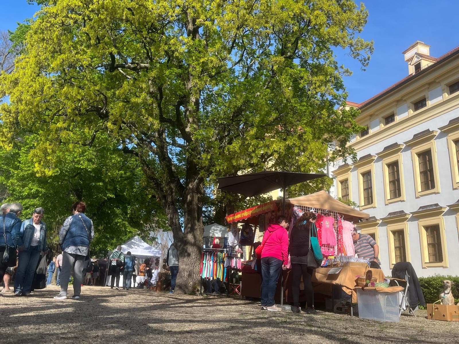 Obrázek