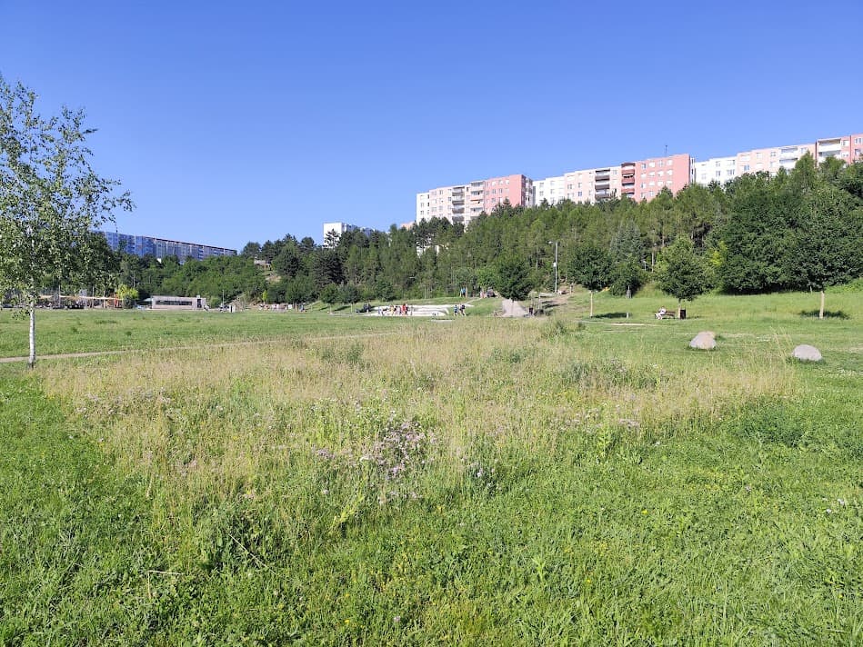 Obrázek