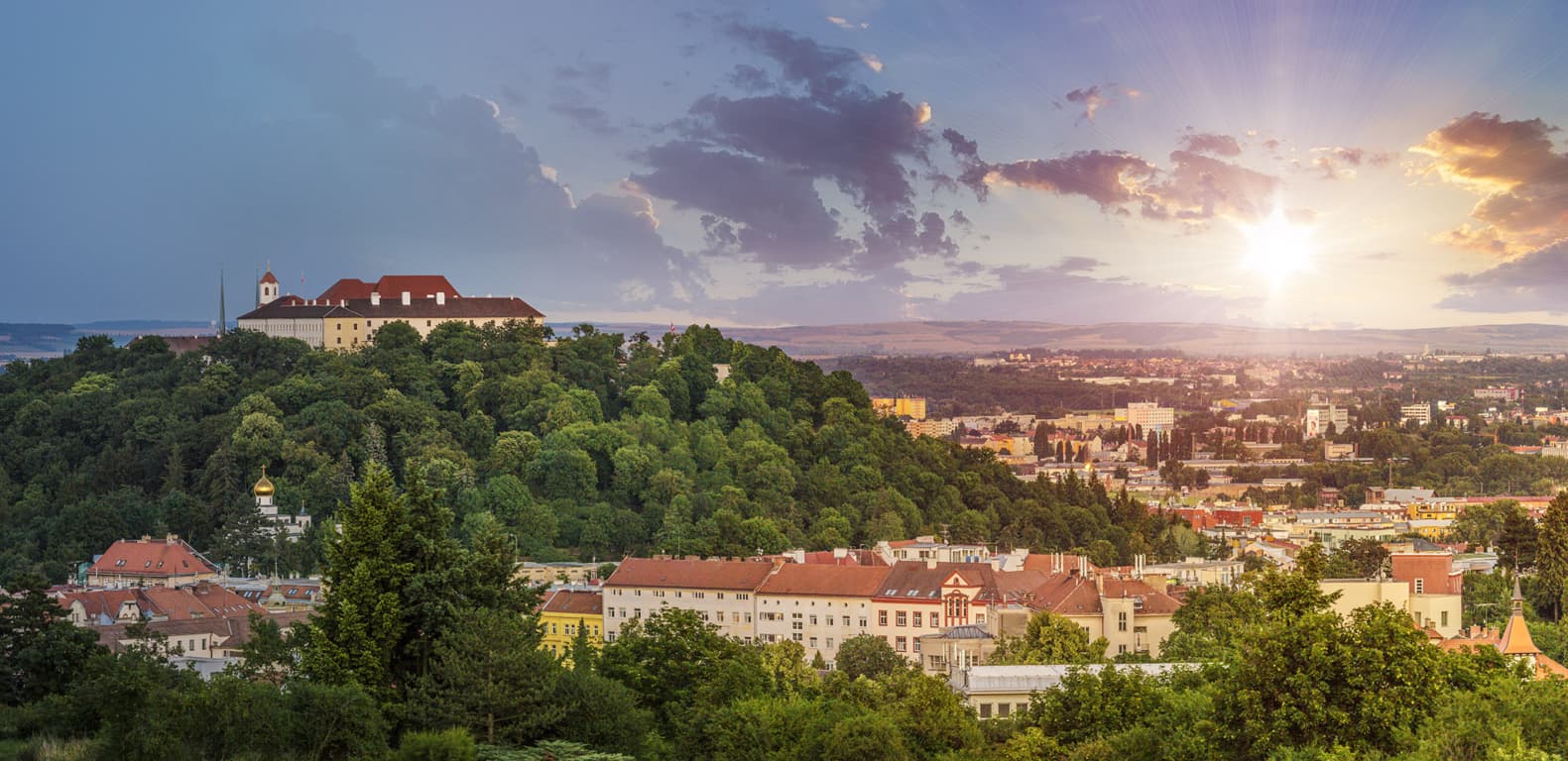 Obrázek