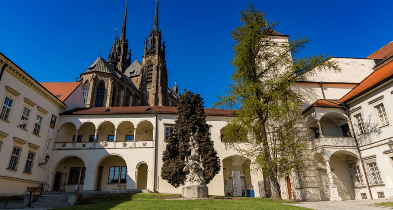 Obrázek