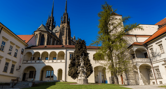 Venuše100: Společenský večer v Biskupském dvoře