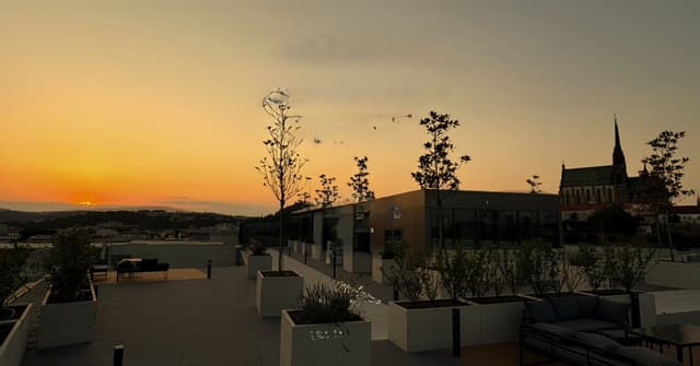Sunset Rooftop Party