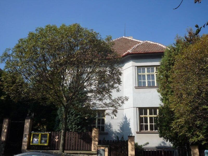 Obrázek