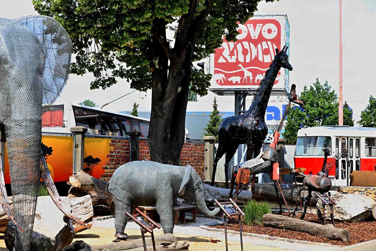 KOVOZOO.