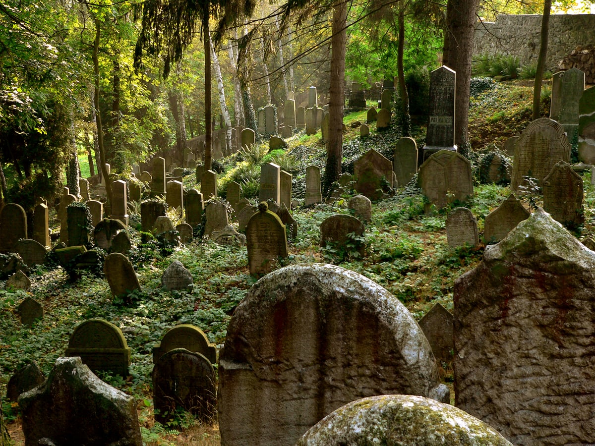 Třebíčský židovský hřbitov je jedním z největších v Česku