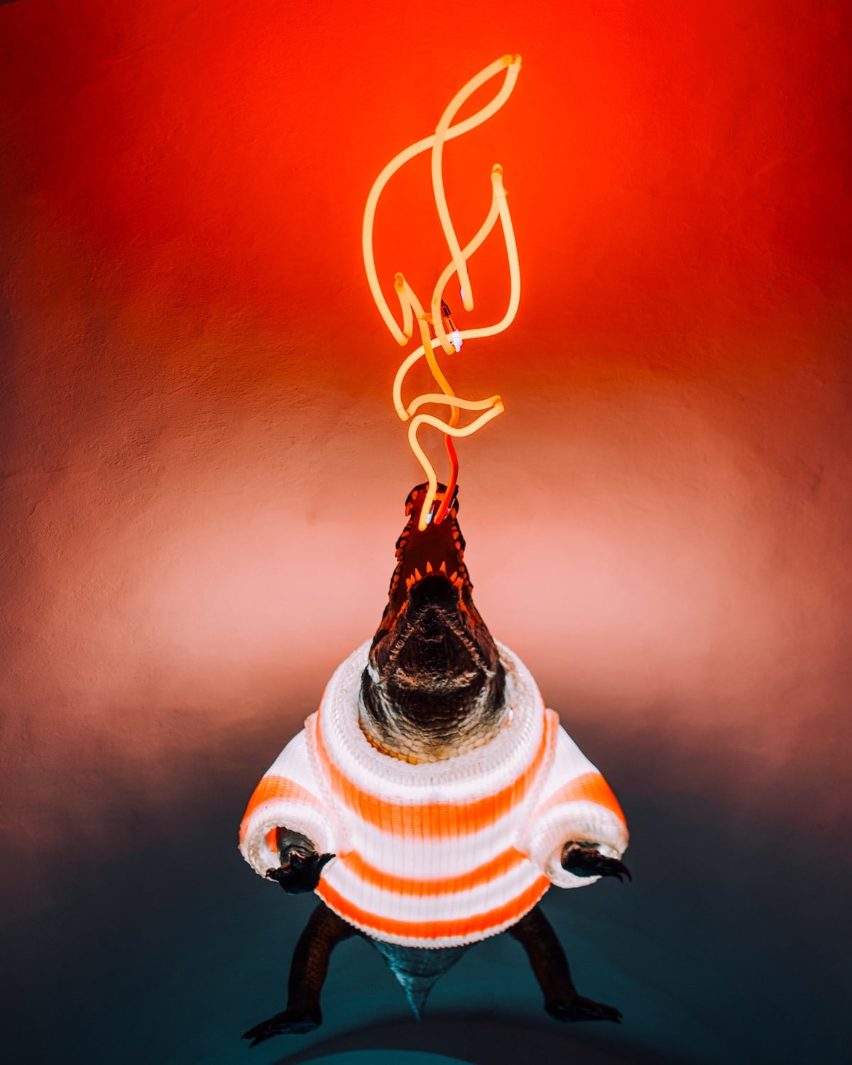 Letos nebude na brněnských Vánocích chybět oblíbený drak ve svetru.