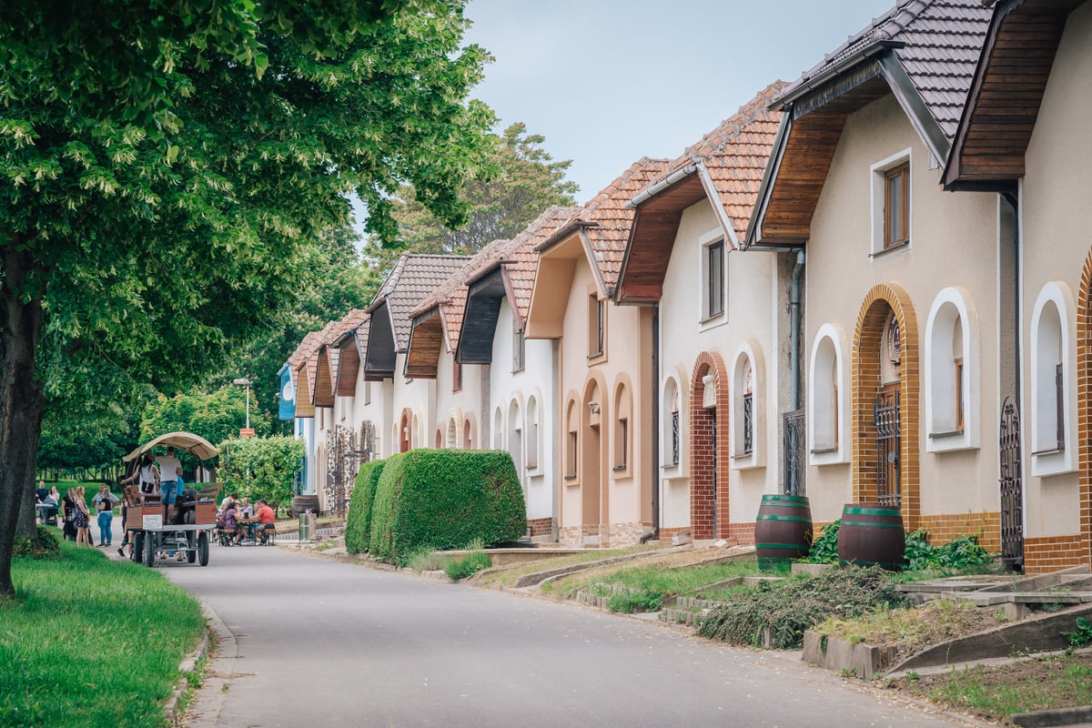 Sklepy Čejkovice.
