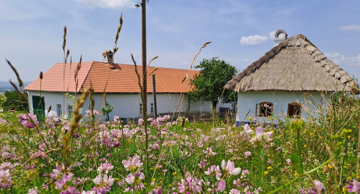 Skanzen Rochus.