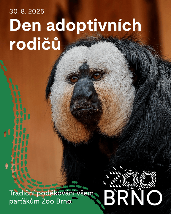 Den adoptivních rodičů v Zoo Brno